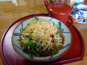 彦三・冷やがけサラダ